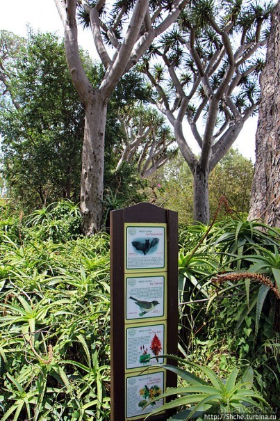 Ботанический сад Гибралтара