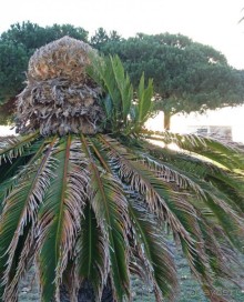 "Обзорка" по Лиссабону: все в одном флаконе