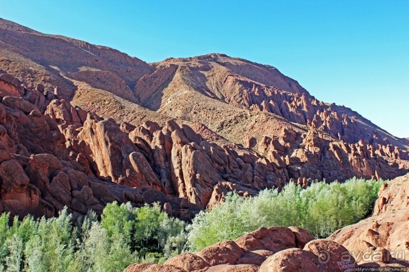 Живописное Марокко. Каньон "Пальцы обезьяны"