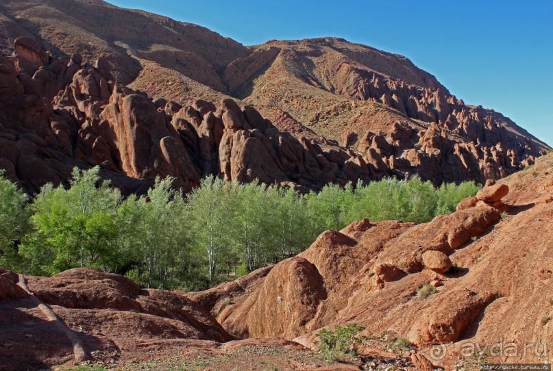 Живописное Марокко. Каньон "Пальцы обезьяны"