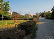 Городские просторы Бухареста