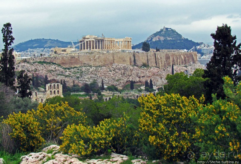 Март. Весеннее цветение Афин Март. Весеннее цветение Афин