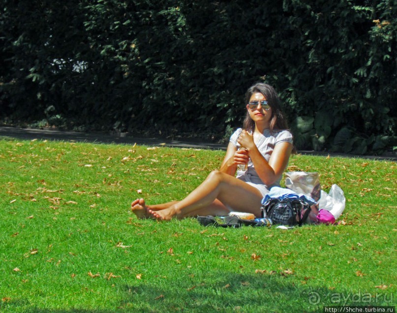 Жара на Цюрихском озере