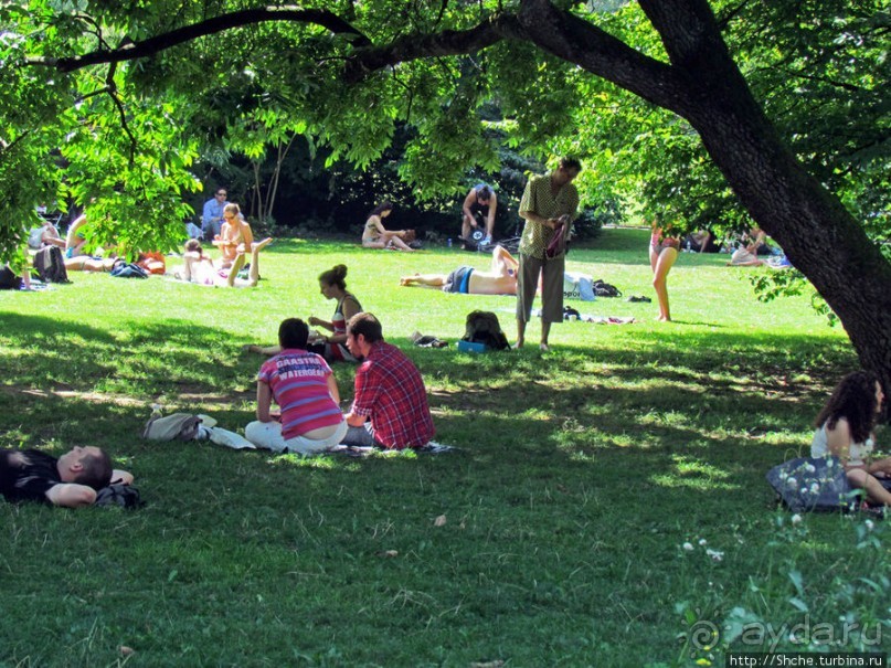 Жара на Цюрихском озере