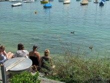 Жара на Цюрихском озере