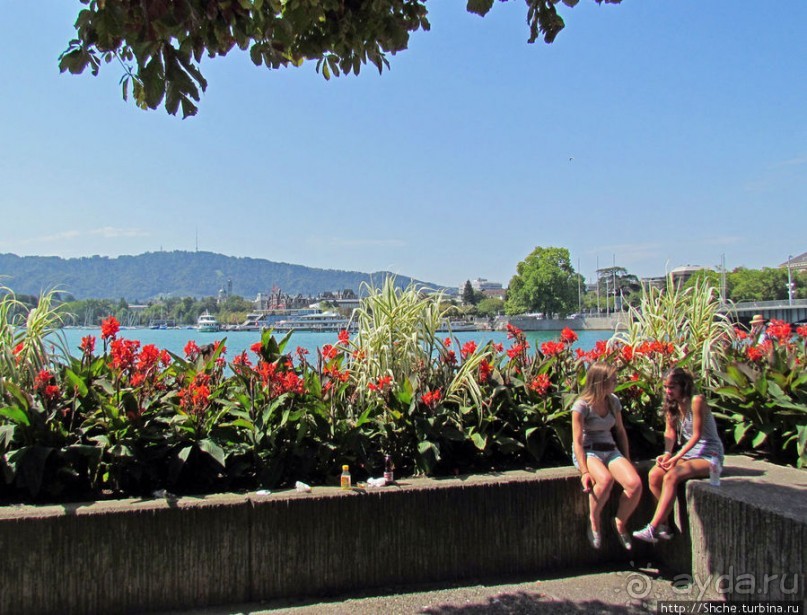 Жара на Цюрихском озере