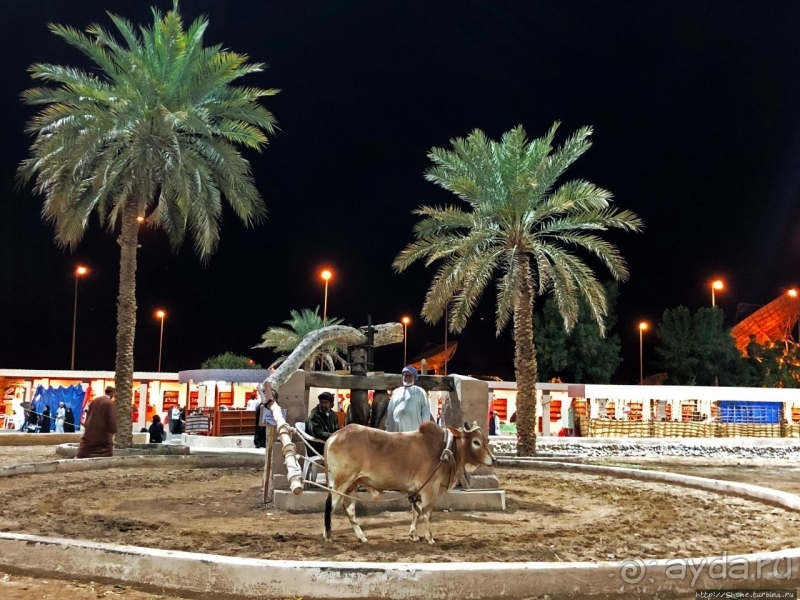 Этнографический Muscat Festival в пригороде столицы Омана