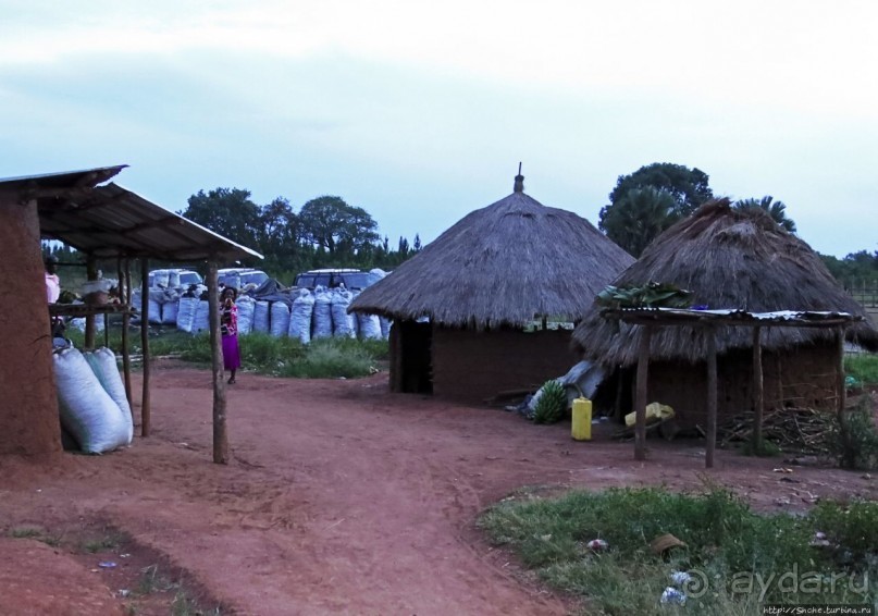 Деревня Rwamahungu. Так живет 70% населения Уганды