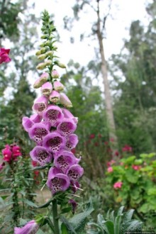 Чтоб я так жил!!! Реальная асиенда эквадорских господ