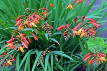 Чтоб я так жил!!! Реальная асиенда эквадорских господ