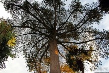 Чтоб я так жил!!! Реальная асиенда эквадорских господ