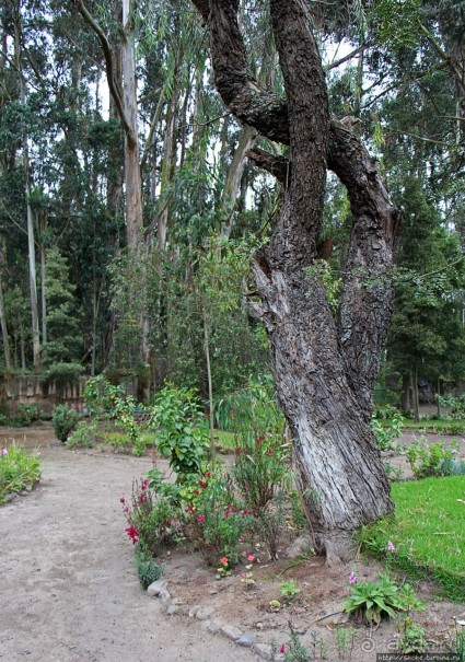 Чтоб я так жил!!! Реальная асиенда эквадорских господ