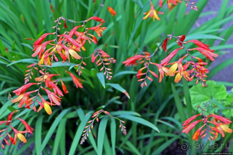 Чтоб я так жил!!! Реальная асиенда эквадорских господ