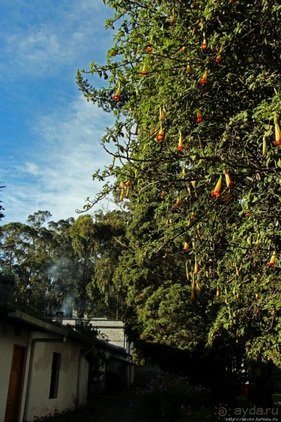 Чтоб я так жил!!! Реальная асиенда эквадорских господ