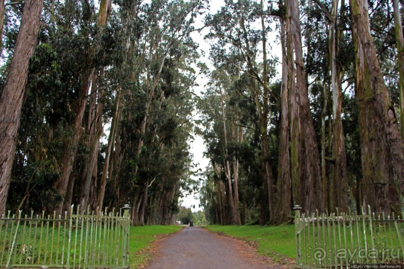 Чтоб я так жил!!! Реальная асиенда эквадорских господ