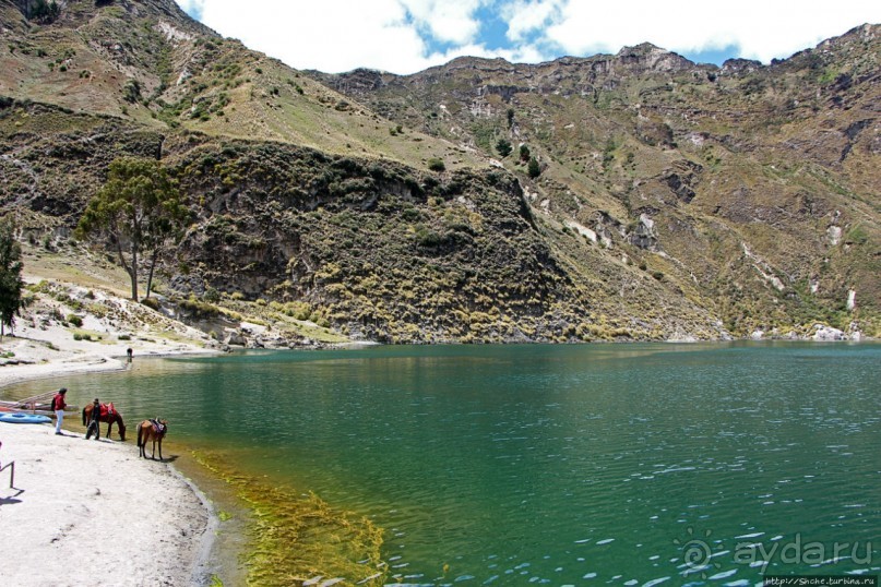 Без лошадок мы бы не выбрались