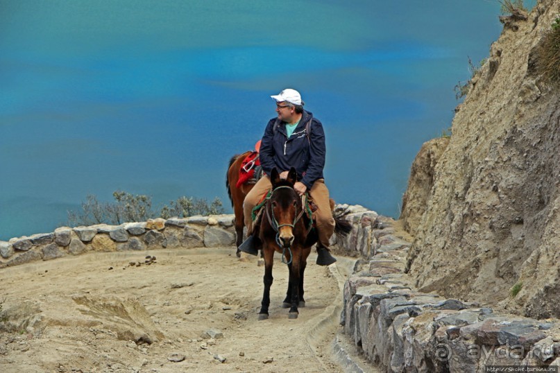 Без лошадок мы бы не выбрались