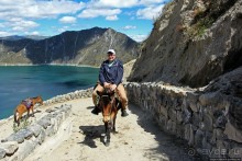 Без лошадок мы бы не выбрались