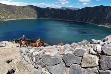 Без лошадок мы бы не выбрались