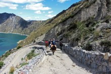 Без лошадок мы бы не выбрались