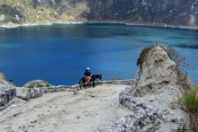 Без лошадок мы бы не выбрались