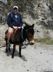 Без лошадок мы бы не выбрались