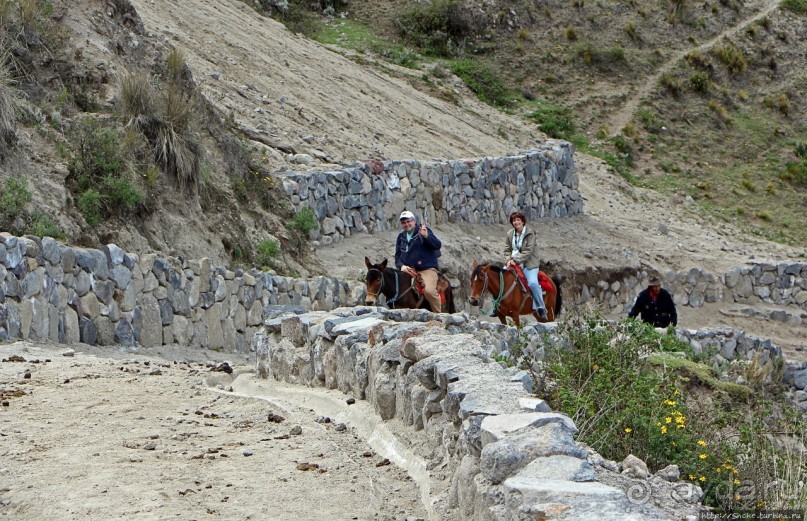 Без лошадок мы бы не выбрались