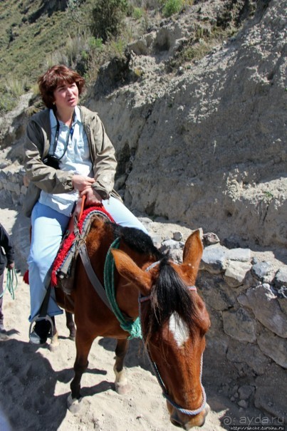 Без лошадок мы бы не выбрались