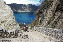 Без лошадок мы бы не выбрались