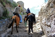 Без лошадок мы бы не выбрались