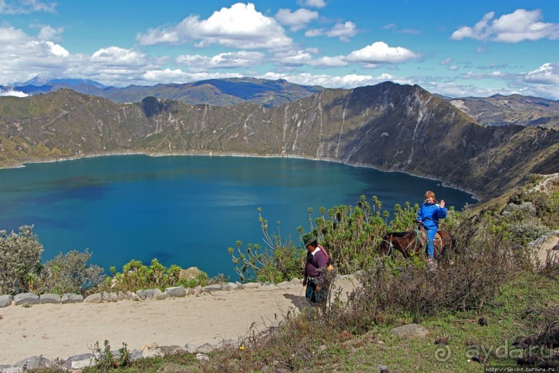 Без лошадок мы бы не выбрались