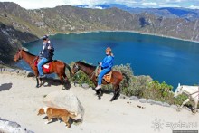 Без лошадок мы бы не выбрались