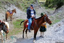 Без лошадок мы бы не выбрались