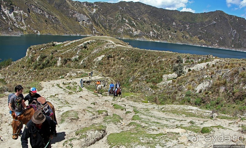 Без лошадок мы бы не выбрались