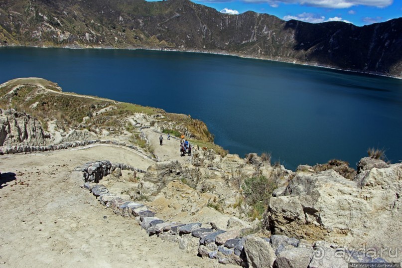 Без лошадок мы бы не выбрались