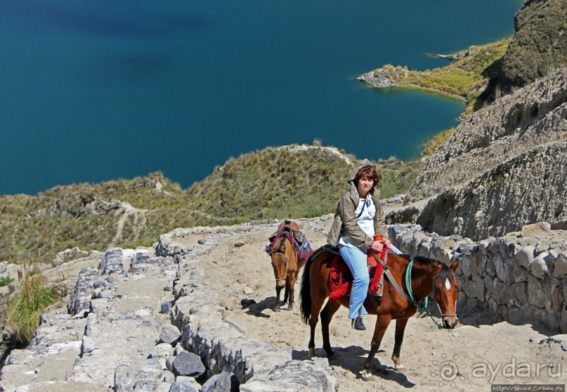 Без лошадок мы бы не выбрались