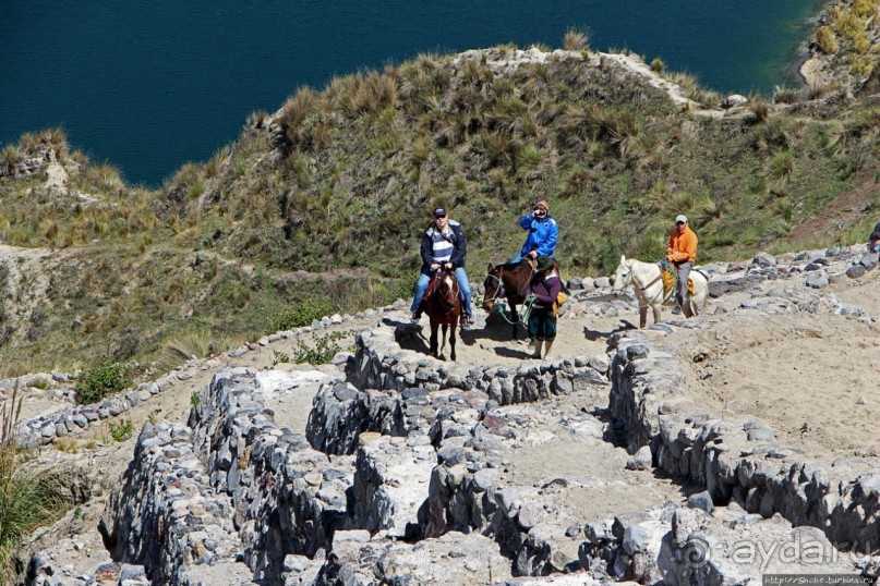 Без лошадок мы бы не выбрались