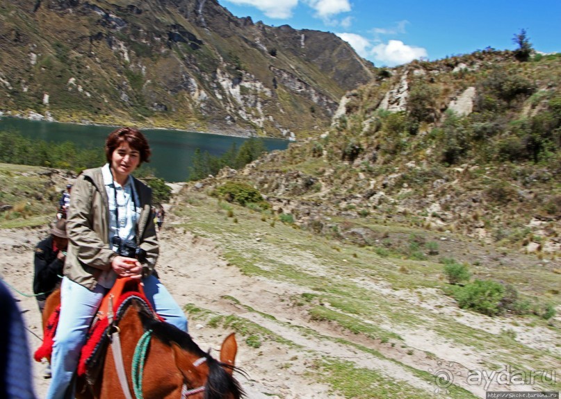 Без лошадок мы бы не выбрались