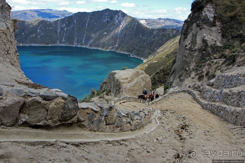 Без лошадок мы бы не выбрались