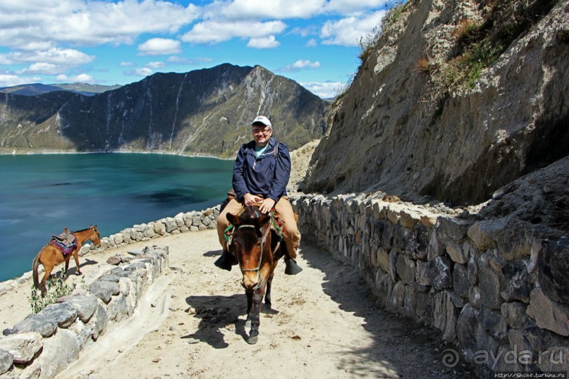 Без лошадок мы бы не выбрались