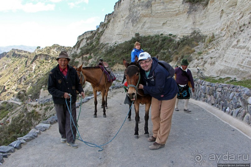 Без лошадок мы бы не выбрались