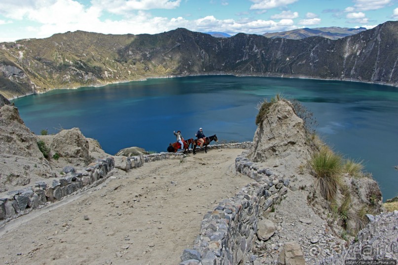 Без лошадок мы бы не выбрались