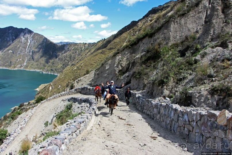 Без лошадок мы бы не выбрались