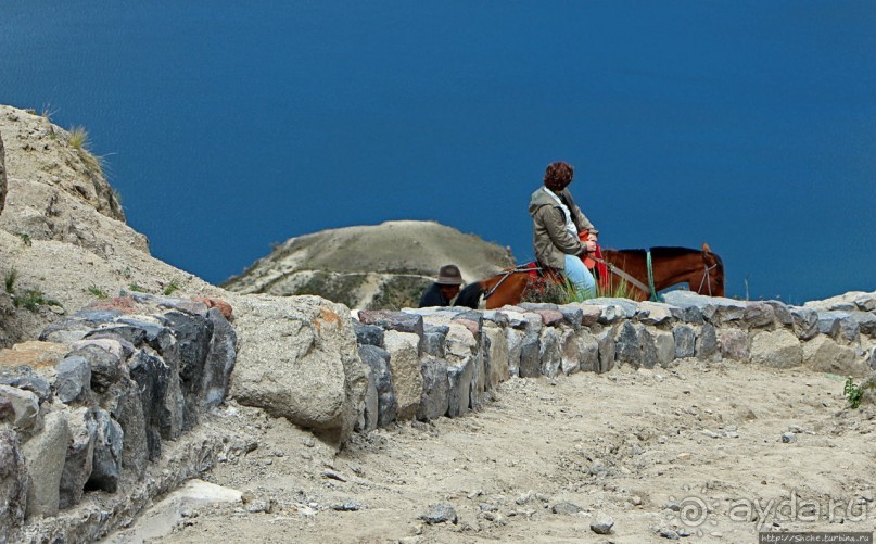 Без лошадок мы бы не выбрались