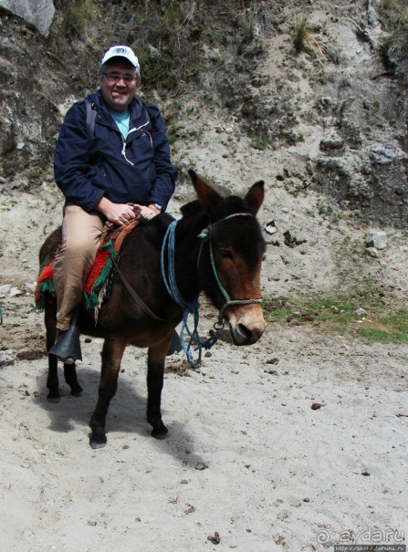 Без лошадок мы бы не выбрались