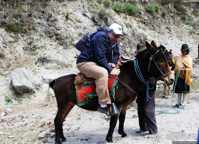 Без лошадок мы бы не выбрались