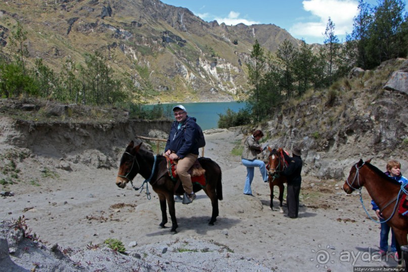 Без лошадок мы бы не выбрались