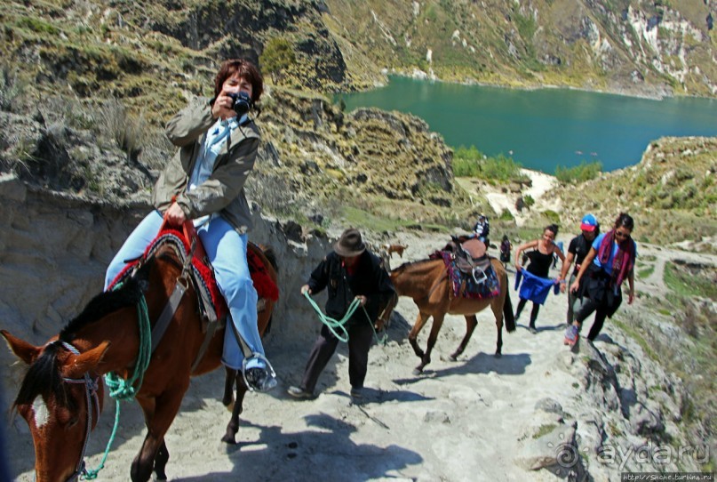 Без лошадок мы бы не выбрались