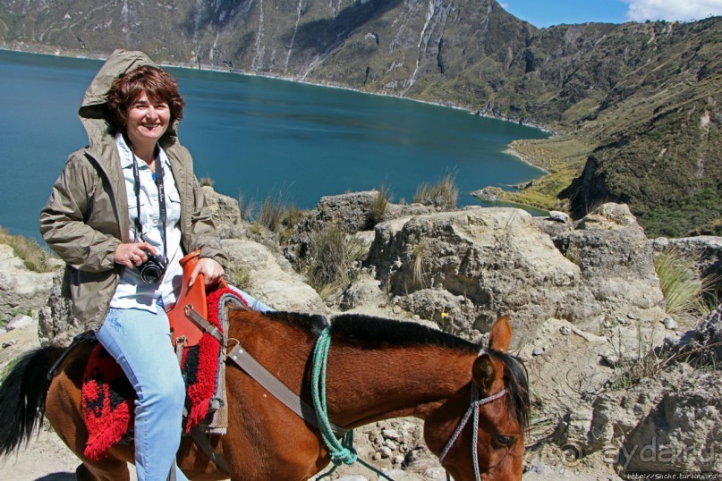 Без лошадок мы бы не выбрались