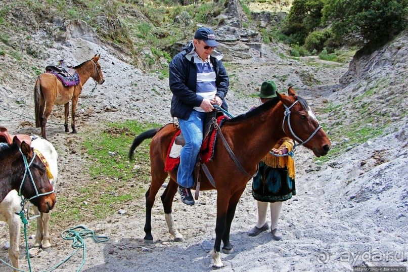 Без лошадок мы бы не выбрались